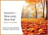 Autumn - New Year, New Leaf Teaching Resources (slide 1/11)